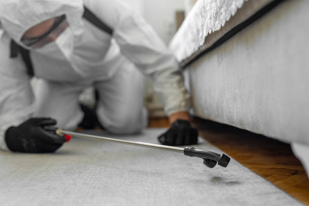 Professional Bed Bug Control technician working in Chippewa Falls, WI